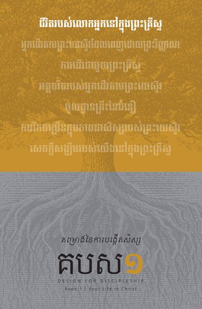 Design for Discipleship Series